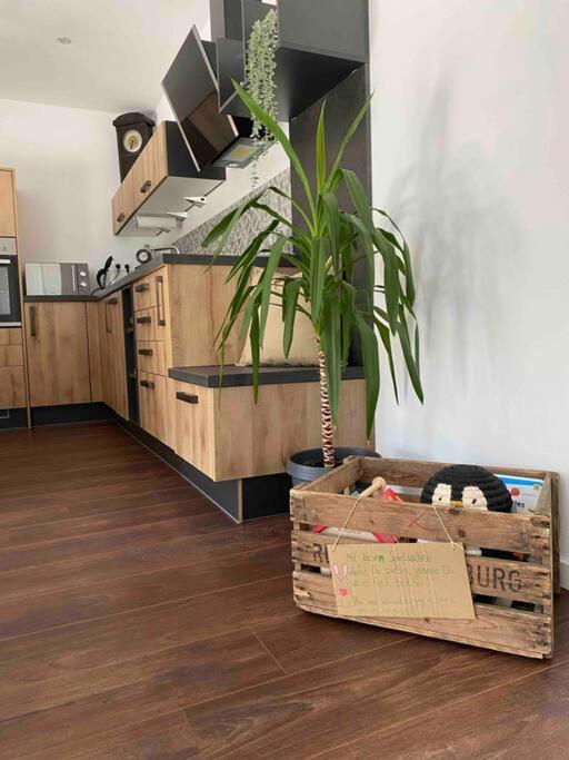 Gemuetliche Wohnung -Schwarzwald Neuweiler  Eksteriør bilde